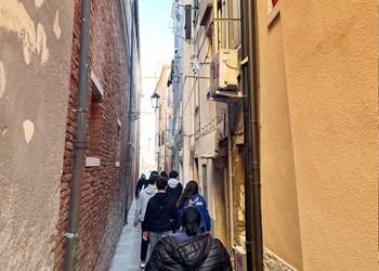 IMG_5484.jpeg